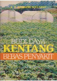 Image of Budi Daya Kentang Bebas Penyakit